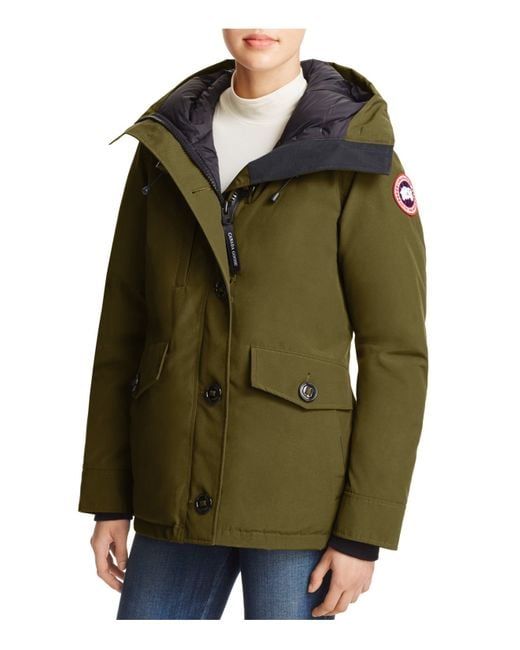 Canada Goose Gestation Length For Cattle